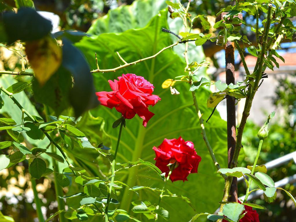 The Secret Garden Relais Hotel Piano di Sorrento Eksteriør billede